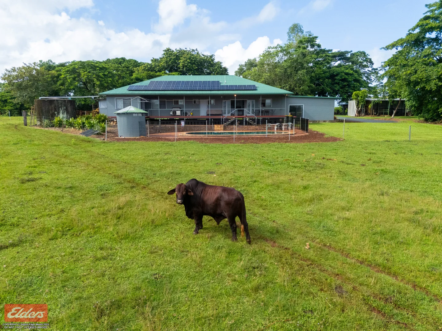 Additional image 6 of 430 No 6 Branch Road, South Johnstone QLD 4859