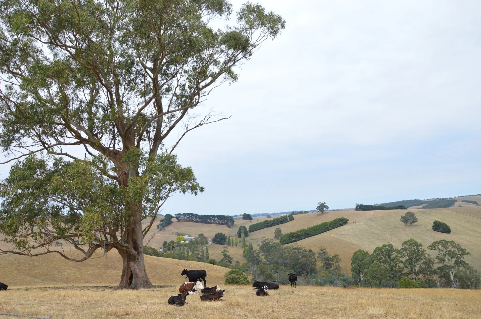 Additional image 4 of 790 Soldiers Road, Poowong VIC 3988