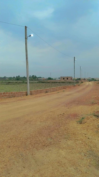 Additional image 3 of Pitapalli, Bhubaneswar