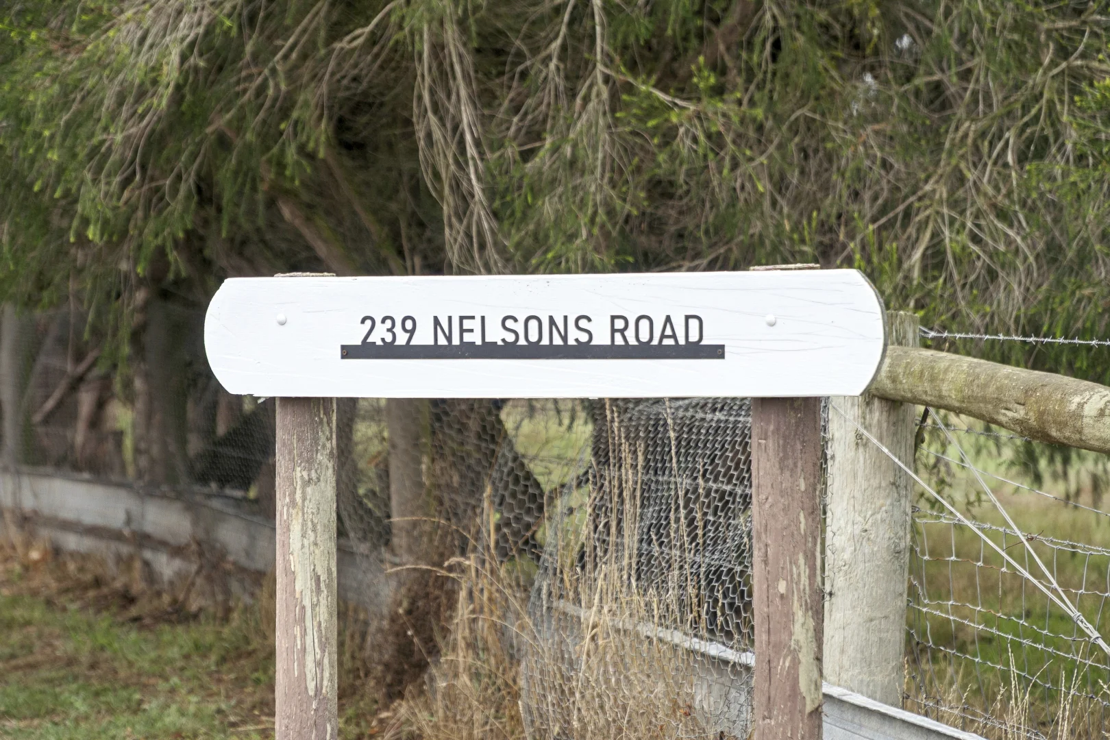 Additional image 2 of 239 Nelsons Road, Elingamite North VIC 3266