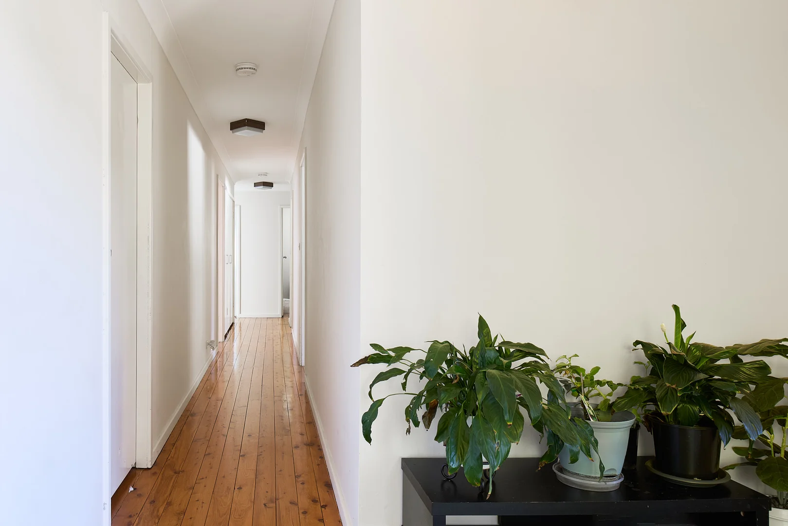 Additional image 6 of 2 Cameron Street, Jesmond NSW 2299