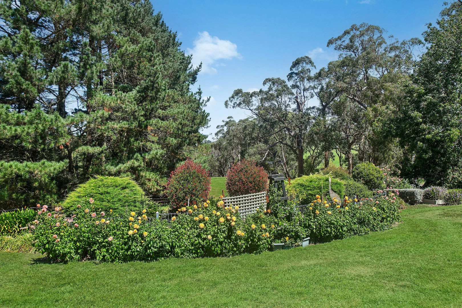 Additional image 18 of 87 Cornwall Road, Exeter NSW 2579