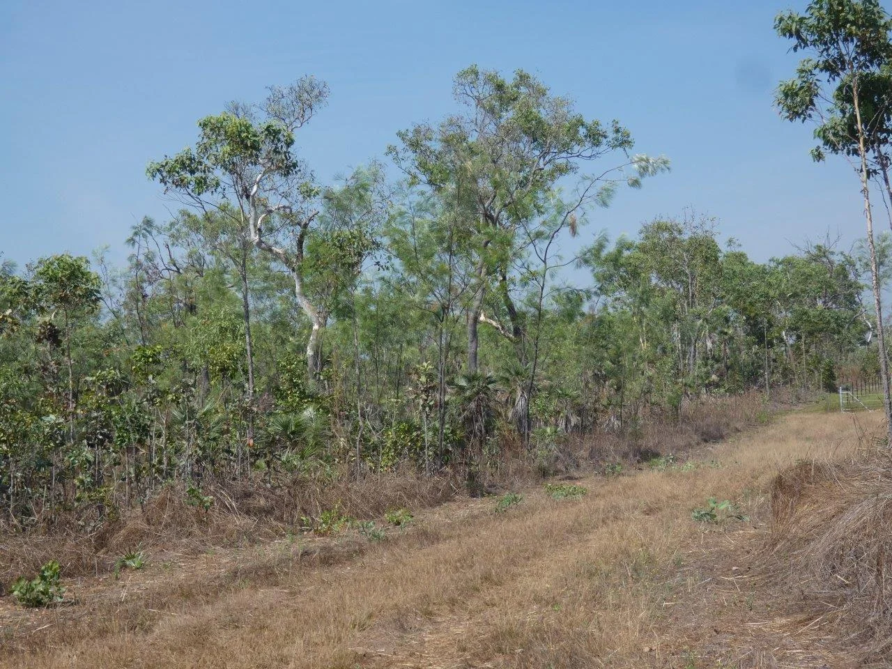 Additional image 5 of 2869/21 Mielang Road, Blackmore NT 0822