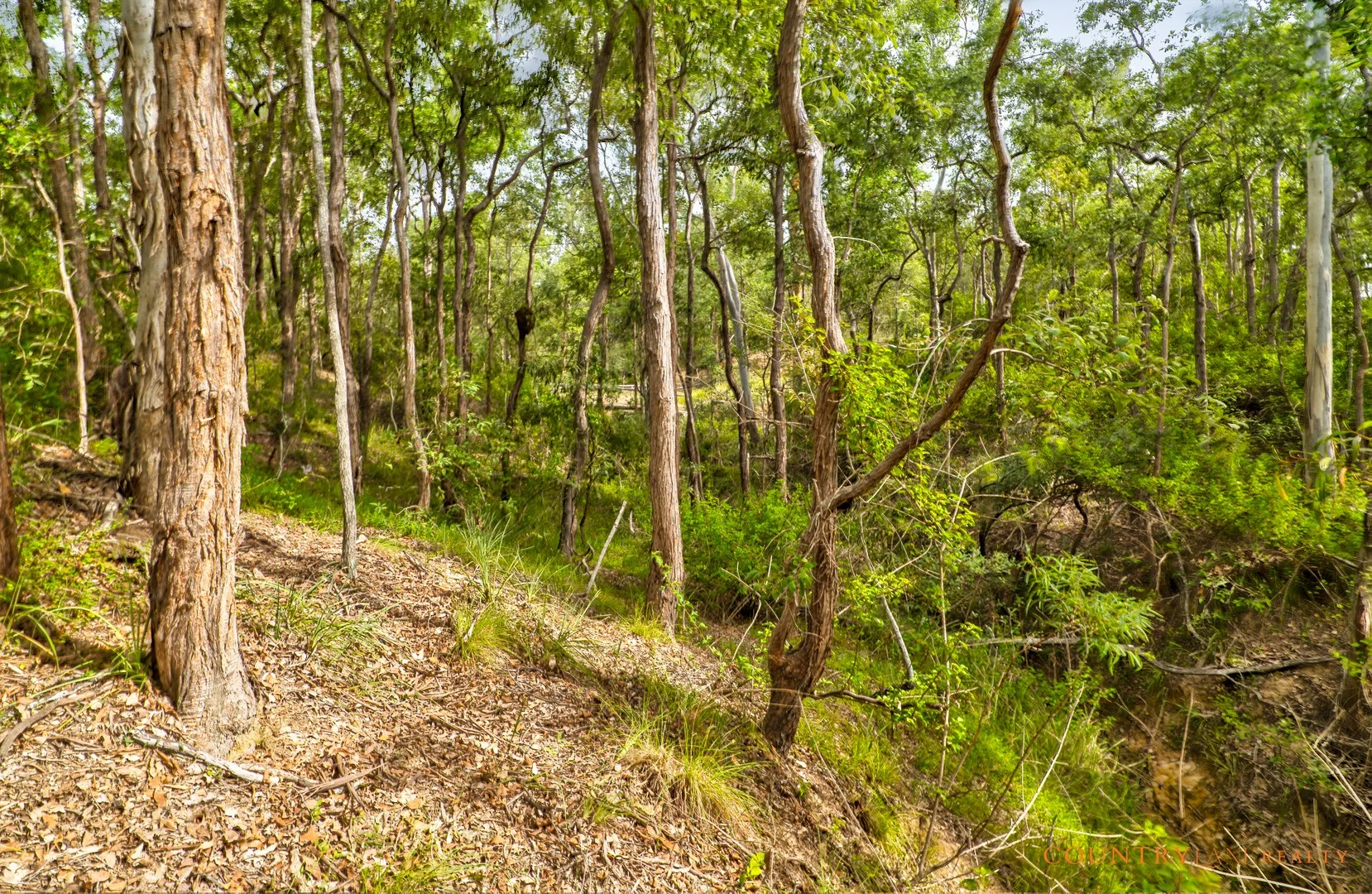 Lot 67 Laurel St, Esk QLD 4312