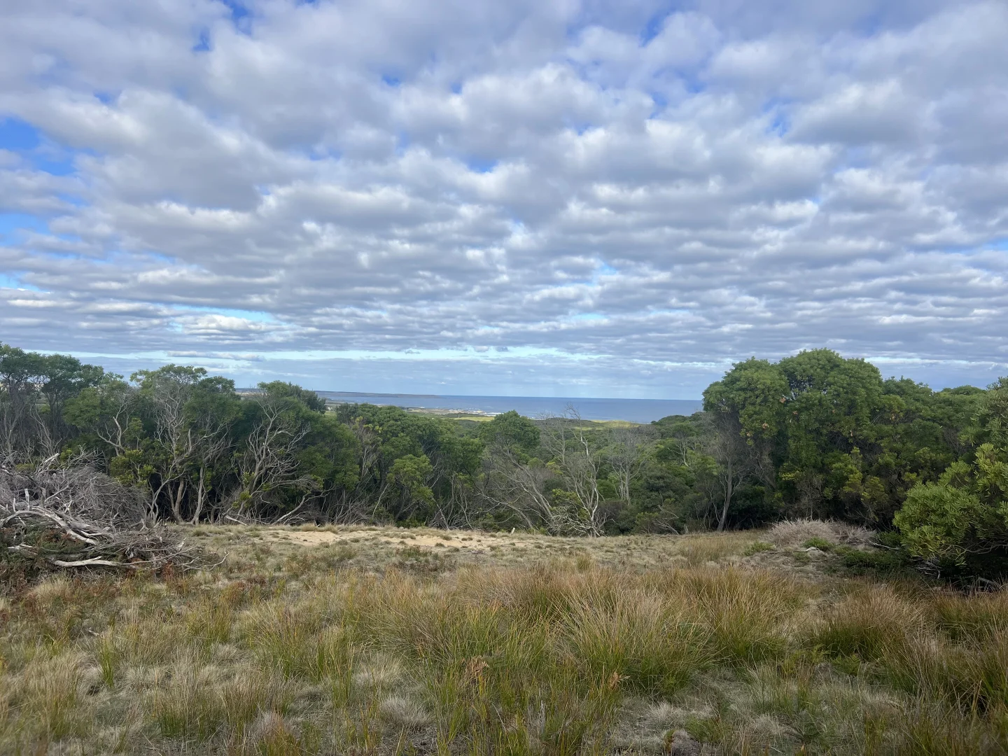 Additional image 10 of 274 South Road, Nugara TAS 7256