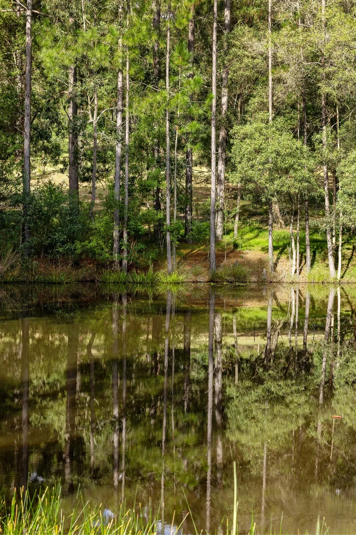 Additional image 29 of 62 Old Mill Road, Carters Ridge QLD 4563