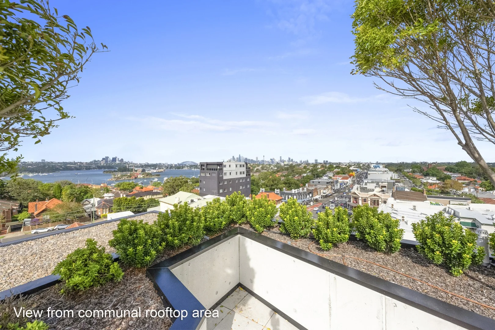 204/227-229 Victoria Road, Drummoyne NSW 2047