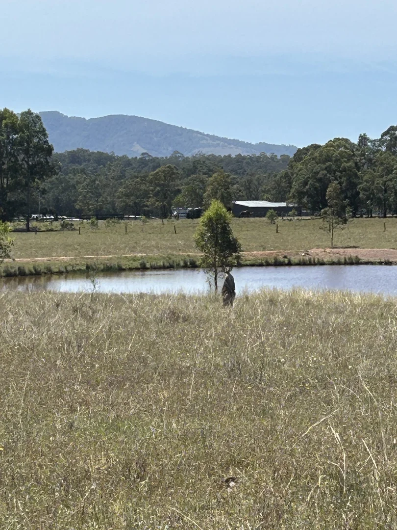 Additional image 20 of 581 Dyrring Road, Dyrring NSW 2330