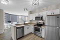 Additional image 6 of 222 N Columbus Dr Apt 1510, Chicago, IL, 60601