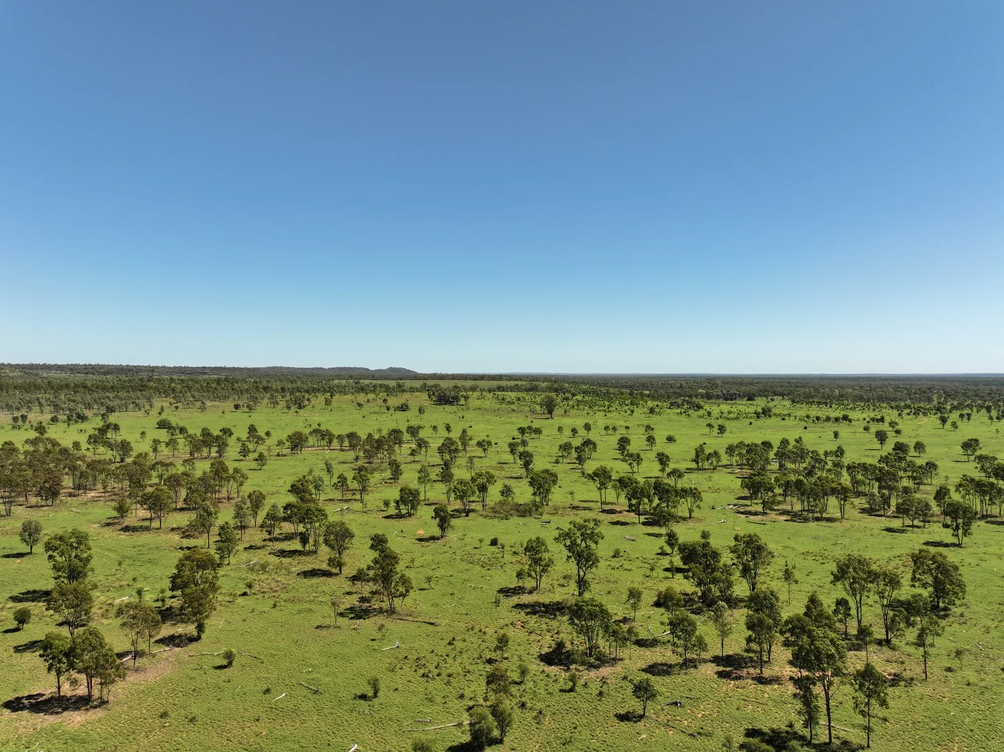 Additional image 28 of 3752 Mitchell Forest Vale Road, Mitchell QLD 4465