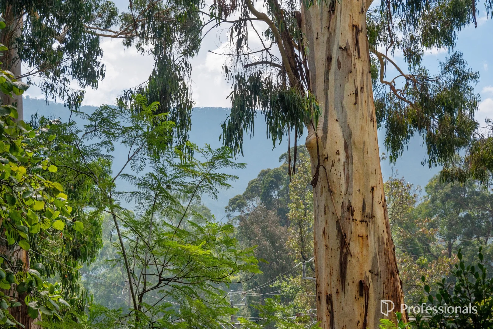 Additional image 22 of 11 Riverside Drive, Warburton VIC 3799