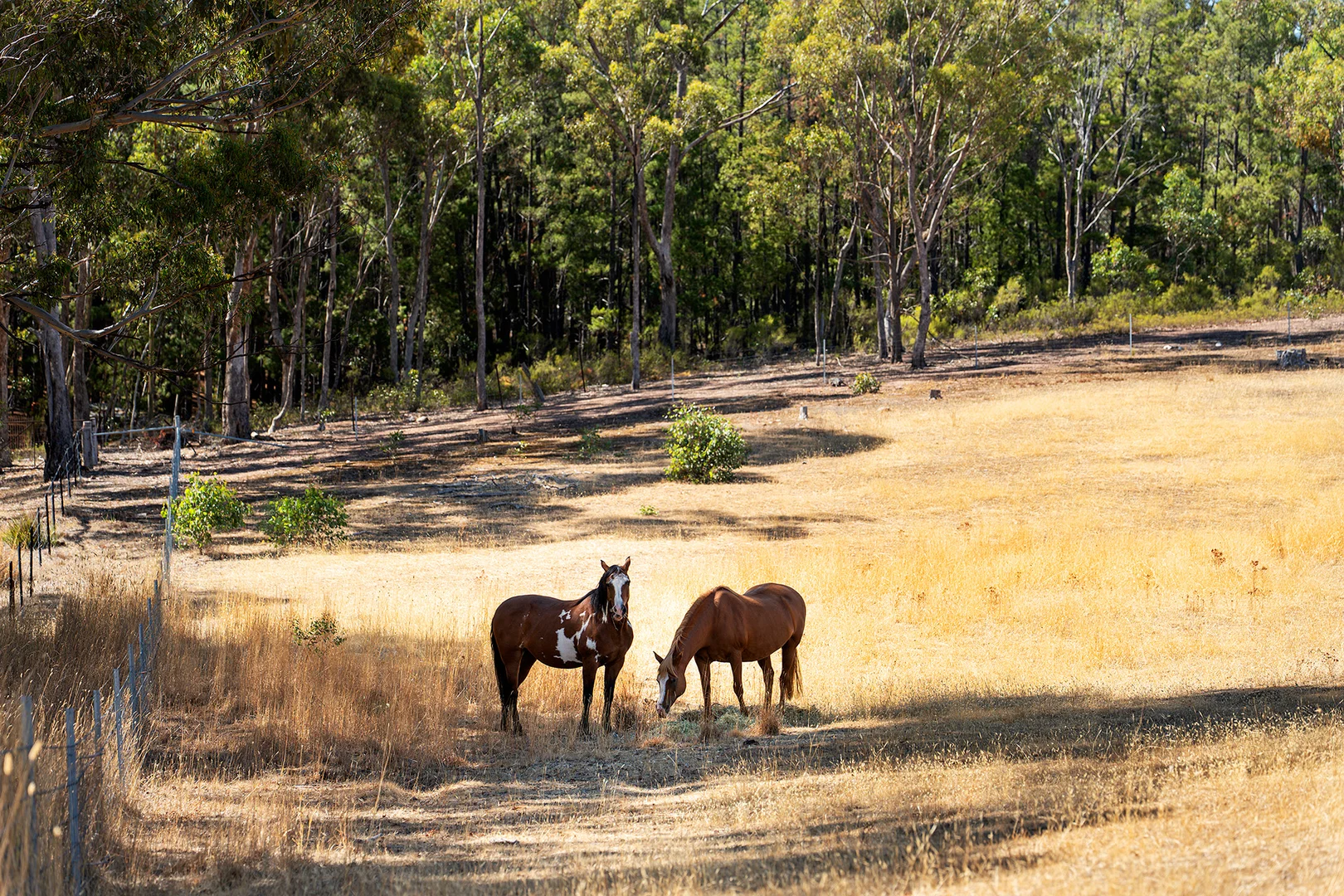 Additional image 11 of 50 Galaxia Lane, Guildford VIC 3451