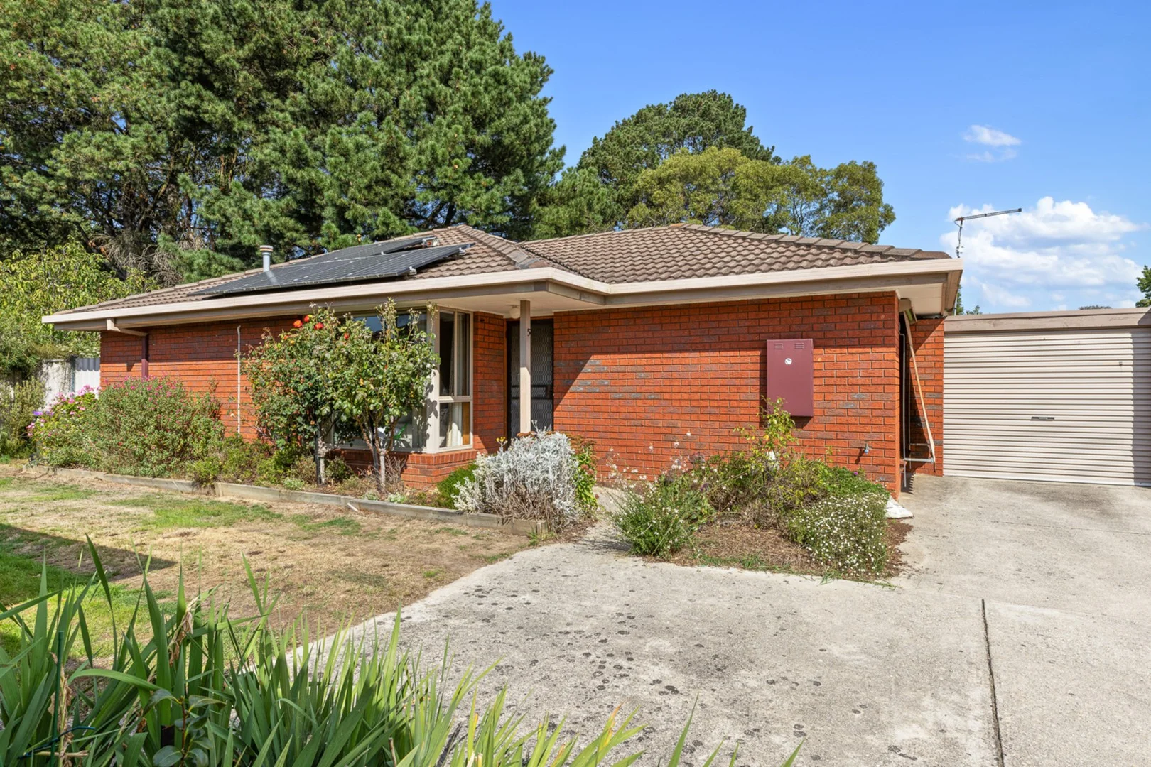 5/14 Canterbury Street, Brown Hill VIC 3350