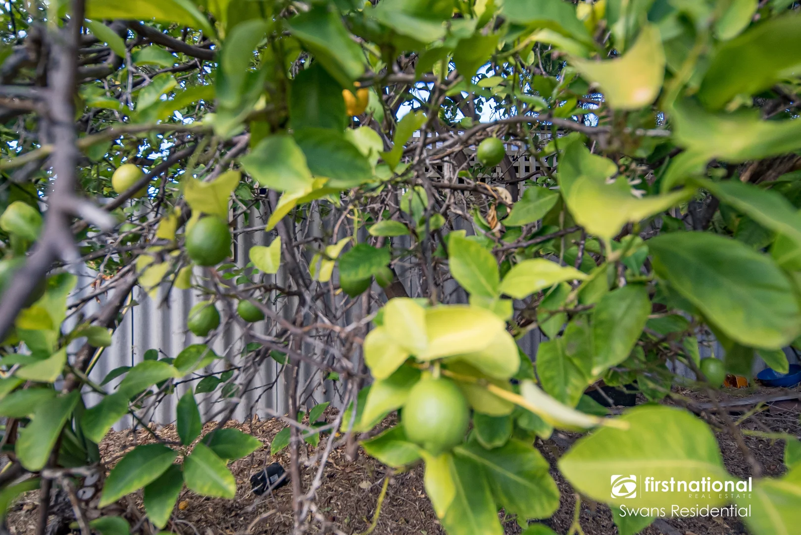 Additional image 21 of 5 Claunelle Road, Armadale WA 6112