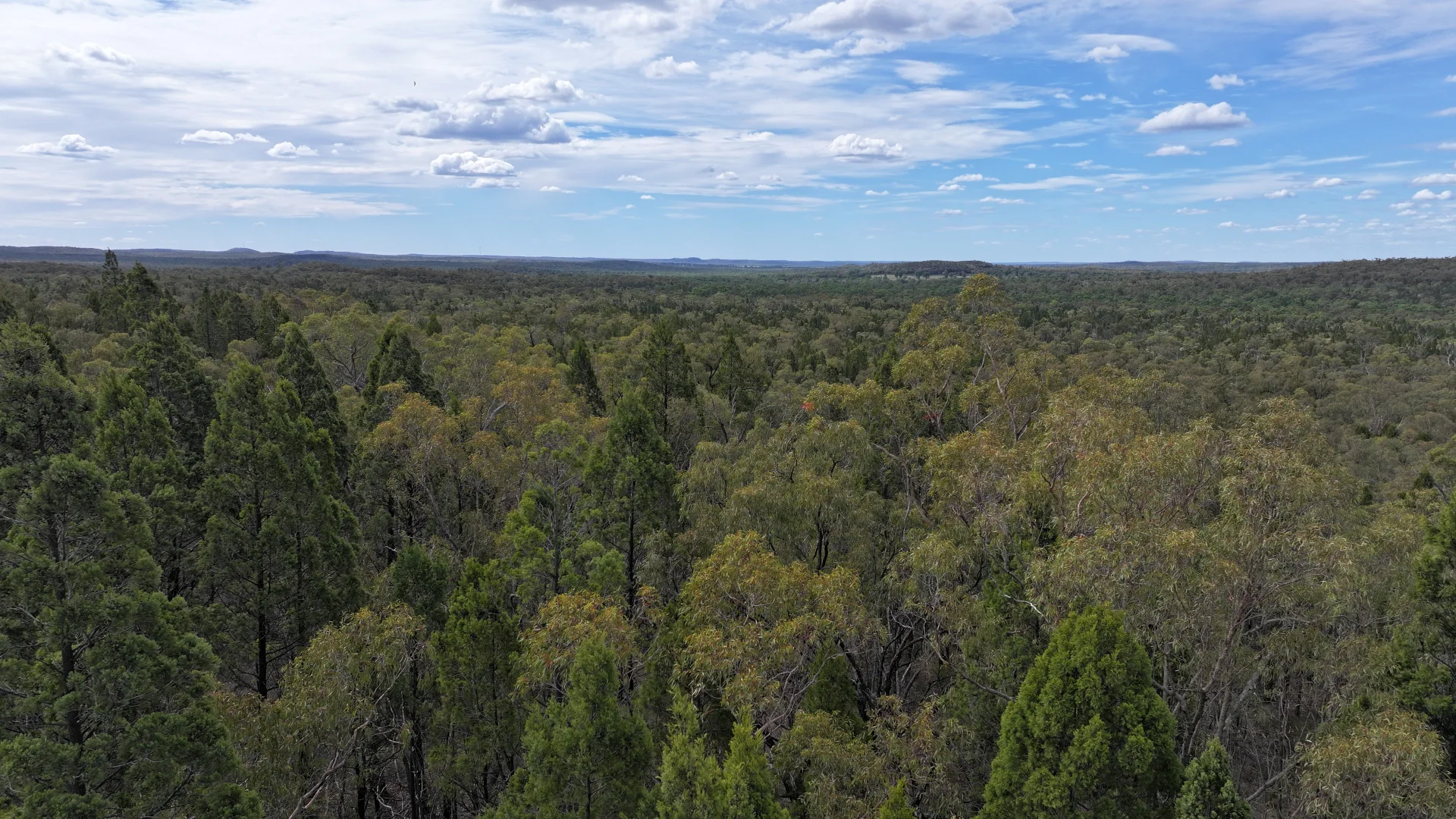Additional image 2 of 50 Aquilla Ave, Coonabarabran NSW 2357