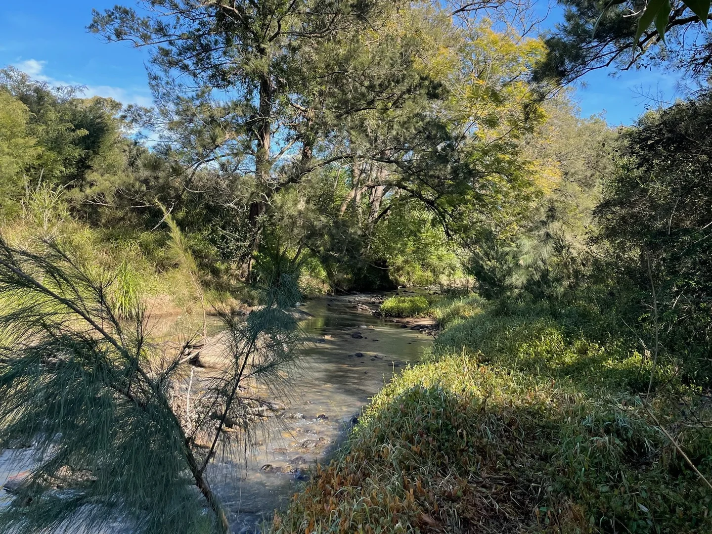 Additional image 8 of Lot 62 Armidale Road, Blaxlands Creek NSW 2460
