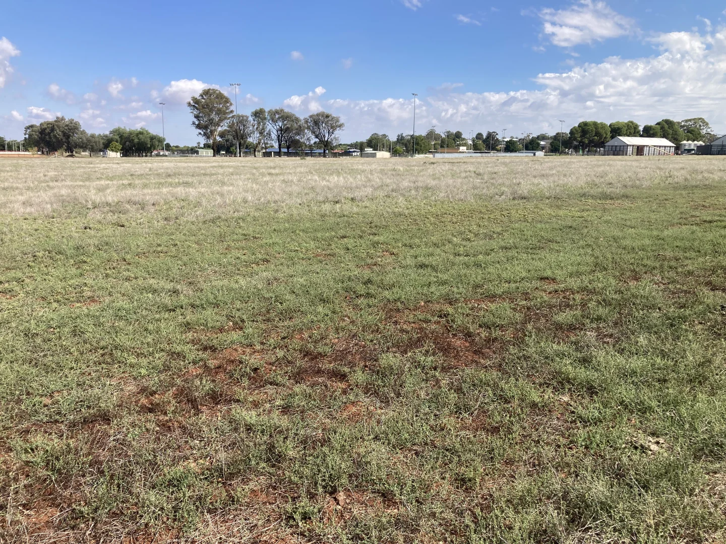 Additional image 4 of Tewkesbury Street, Temora NSW 2666