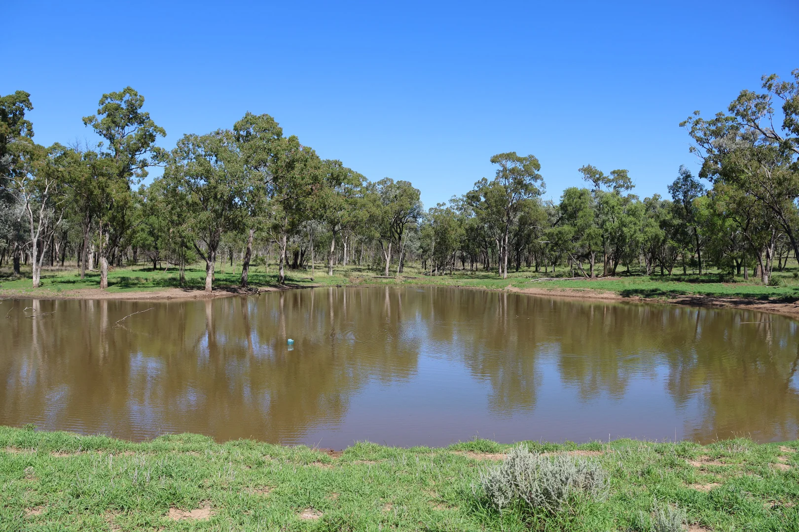 Additional image 15 of 3752 Mitchell Forest Vale Road, Mitchell QLD 4465