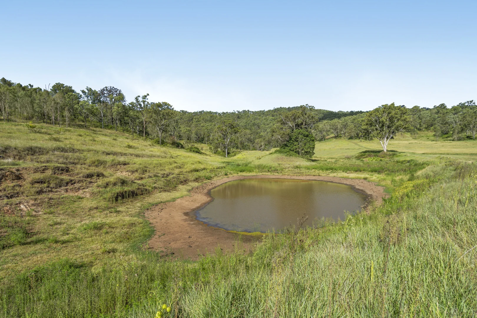 Additional image 8 of 1554 Duck Creek Road, Kerry QLD 4285