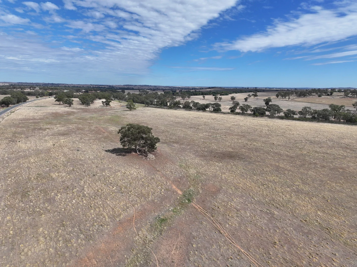 Additional image 6 of 1274 Canola Way, Marrar NSW 2652