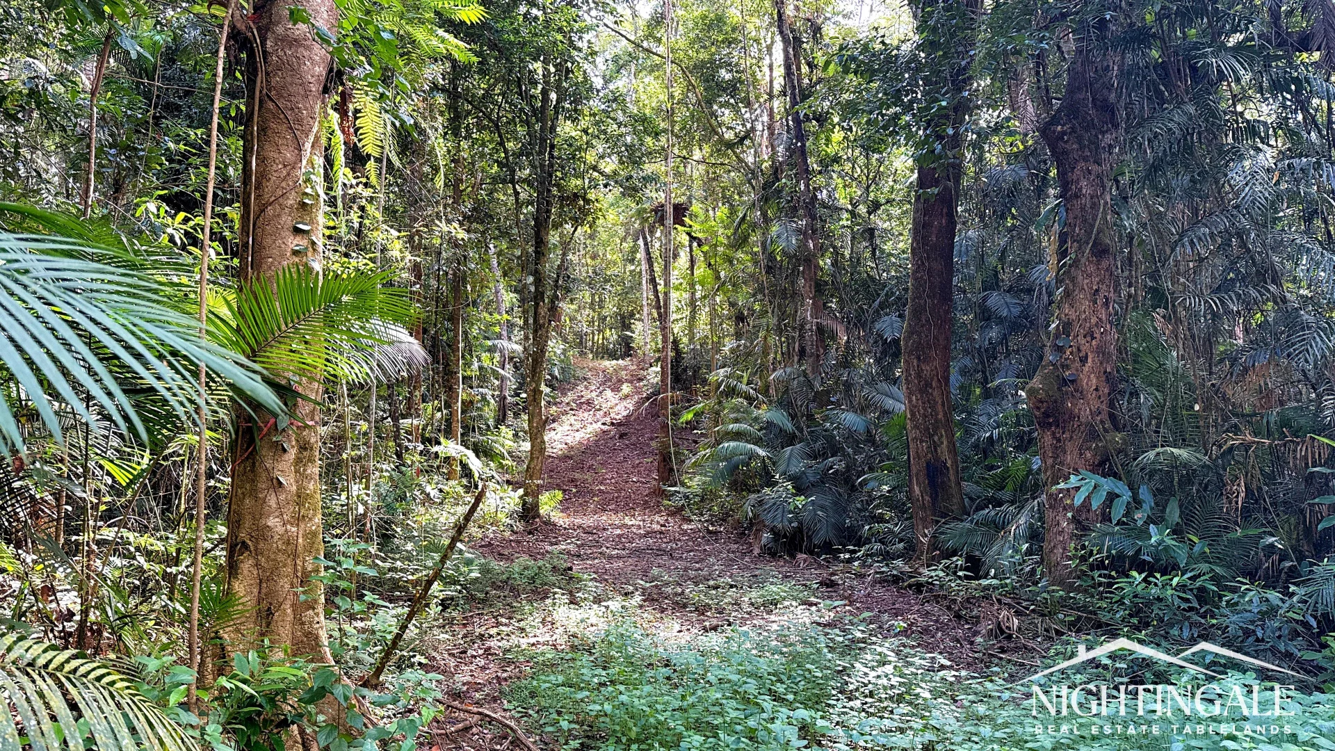 Additional image 5 of Lot 9 Sewell Road, Lake Eacham QLD 4884