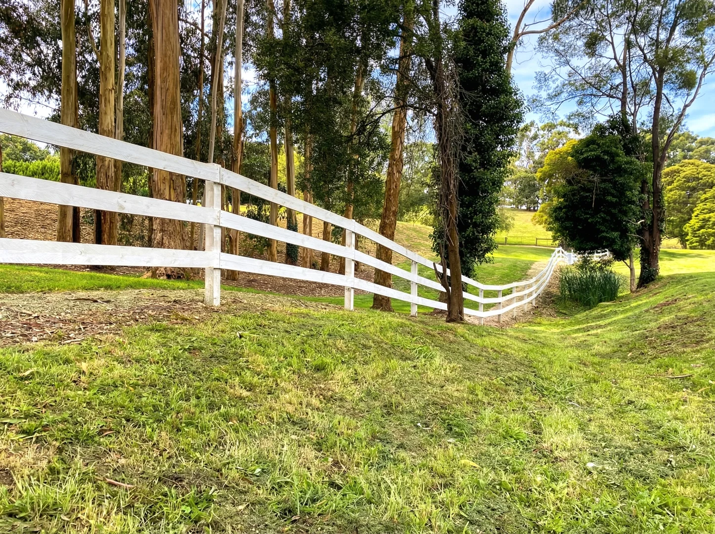 Additional image 32 of 30 O'Malleys Road, Mardan VIC 3953