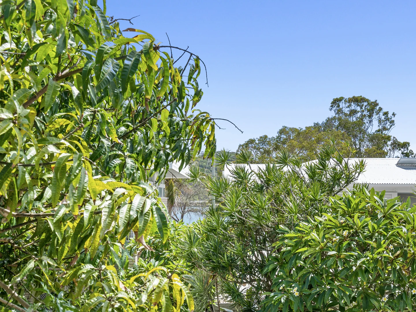 Additional image 30 of 69 Tallebudgera Drive, Palm Beach QLD 4221