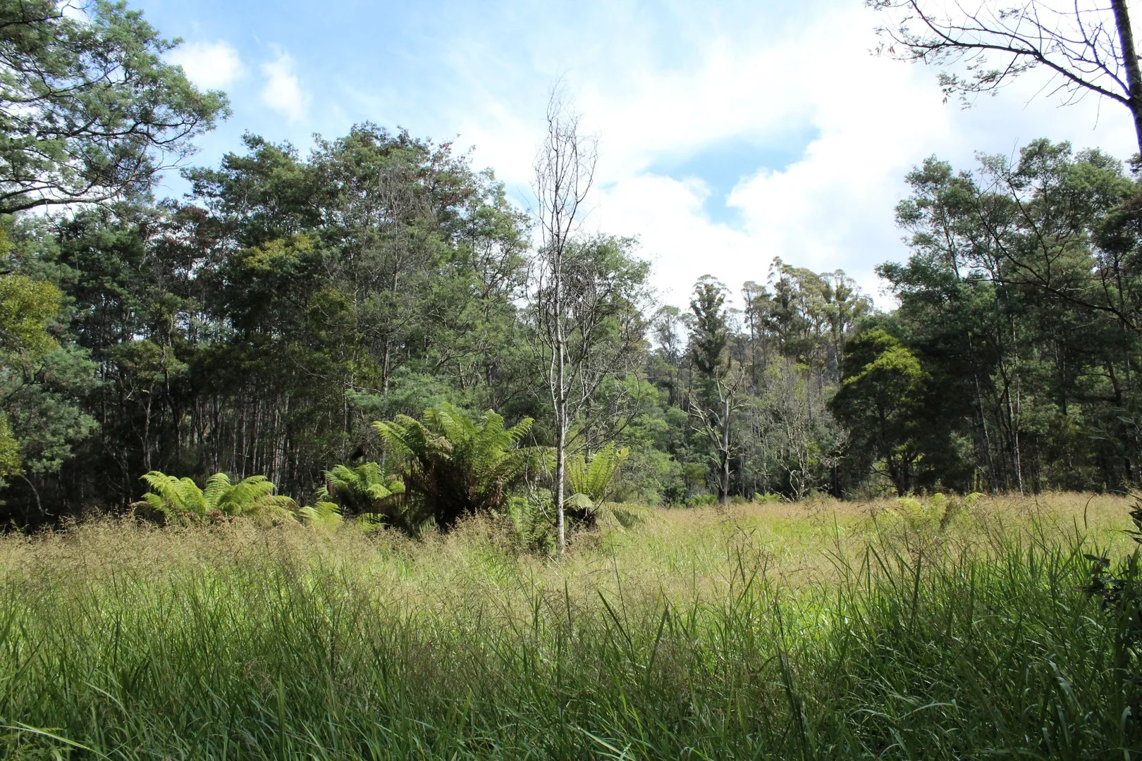 188 Bassetts Road, Calder TAS 7325