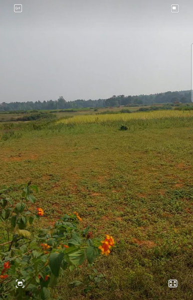 Ginjo Thakurgaon, Ranchi