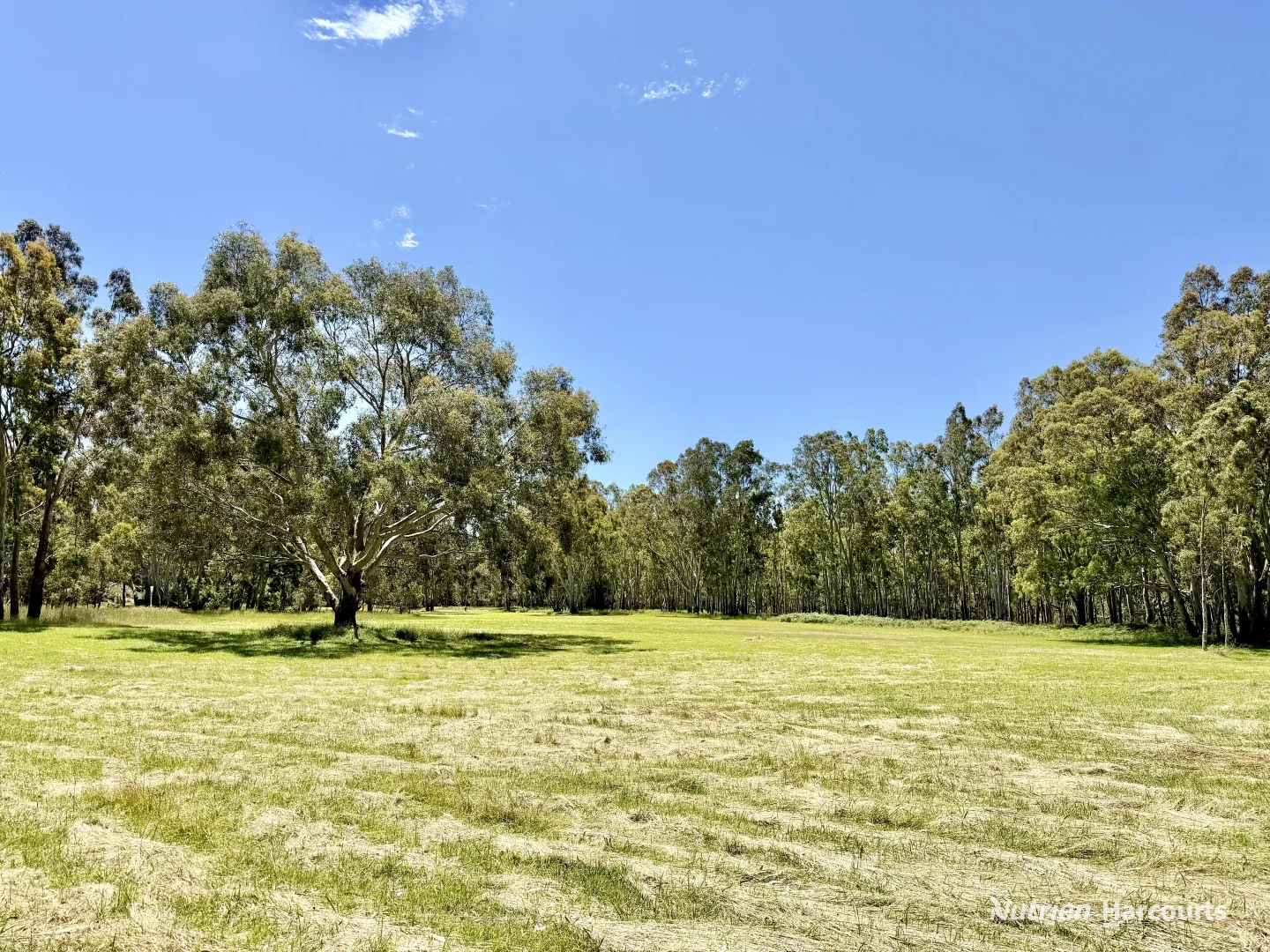 Additional image 22 of 128 Ponderosa Road, Strathdownie VIC 3312