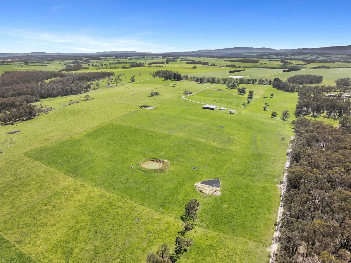 Additional image 6 of 109 Andersons Road, Yarragon VIC 3823