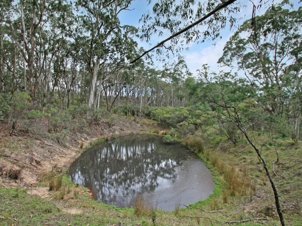 Additional image 14 of 135 Kangaroo Track, Omeo VIC 3898