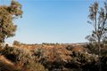 Additional image 53 of 39220 Gray Squirrel Rd, Temecula, CA, 92592