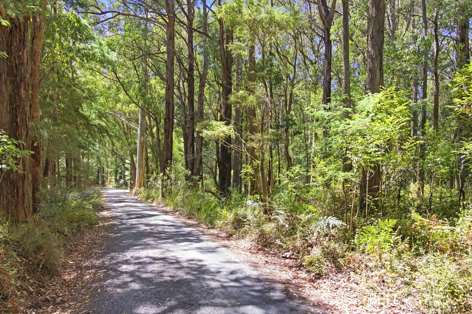 Additional image 3 of 1195 Little Yarra Road, Three Bridges VIC 3797