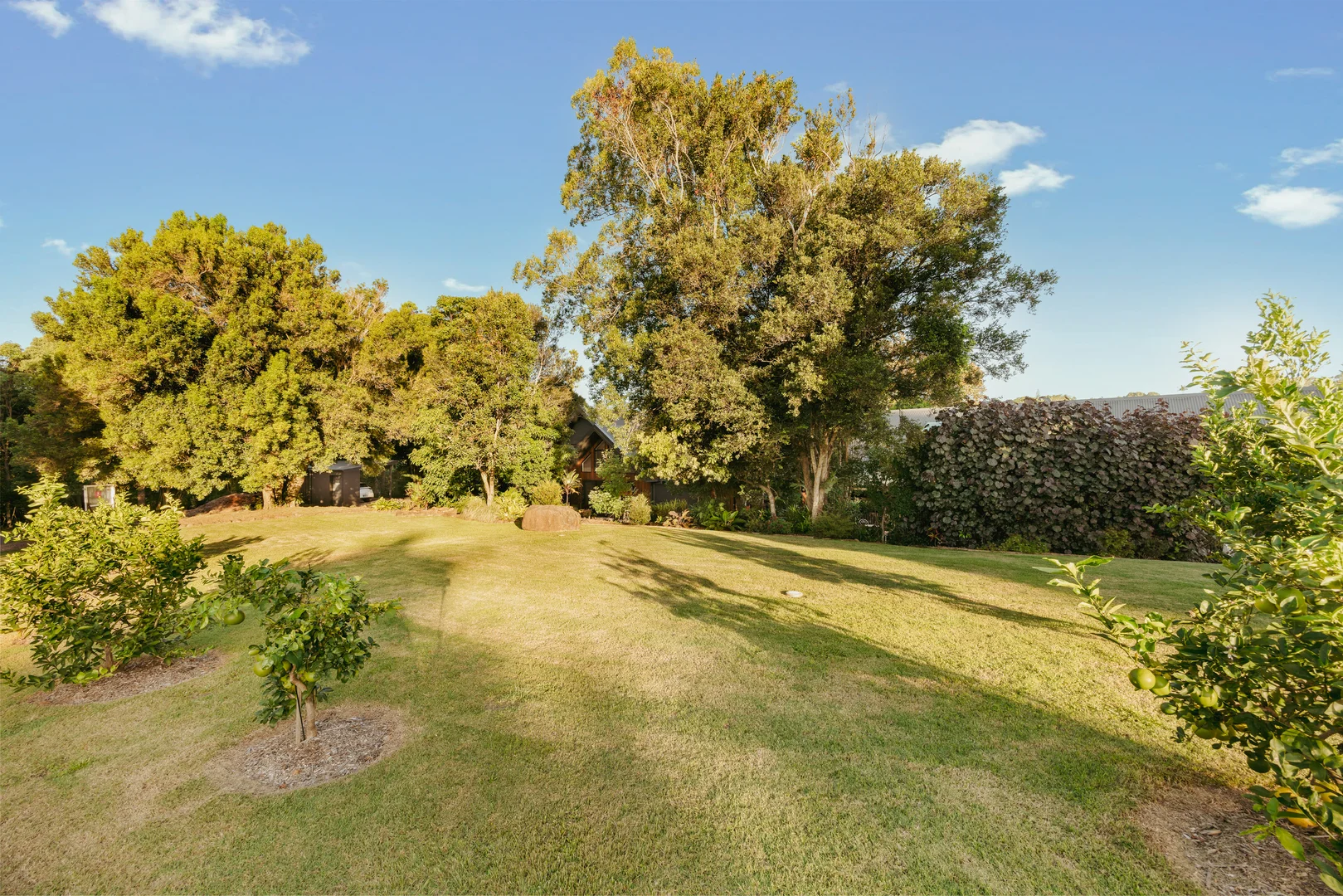 Additional image 46 of 20 Warri Way, Currumbin Valley QLD 4223