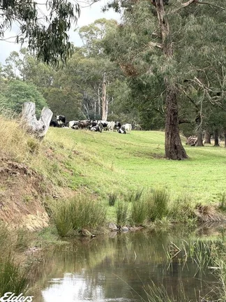 Additional image 28 of 235 Lays Road, Willung South VIC 3847