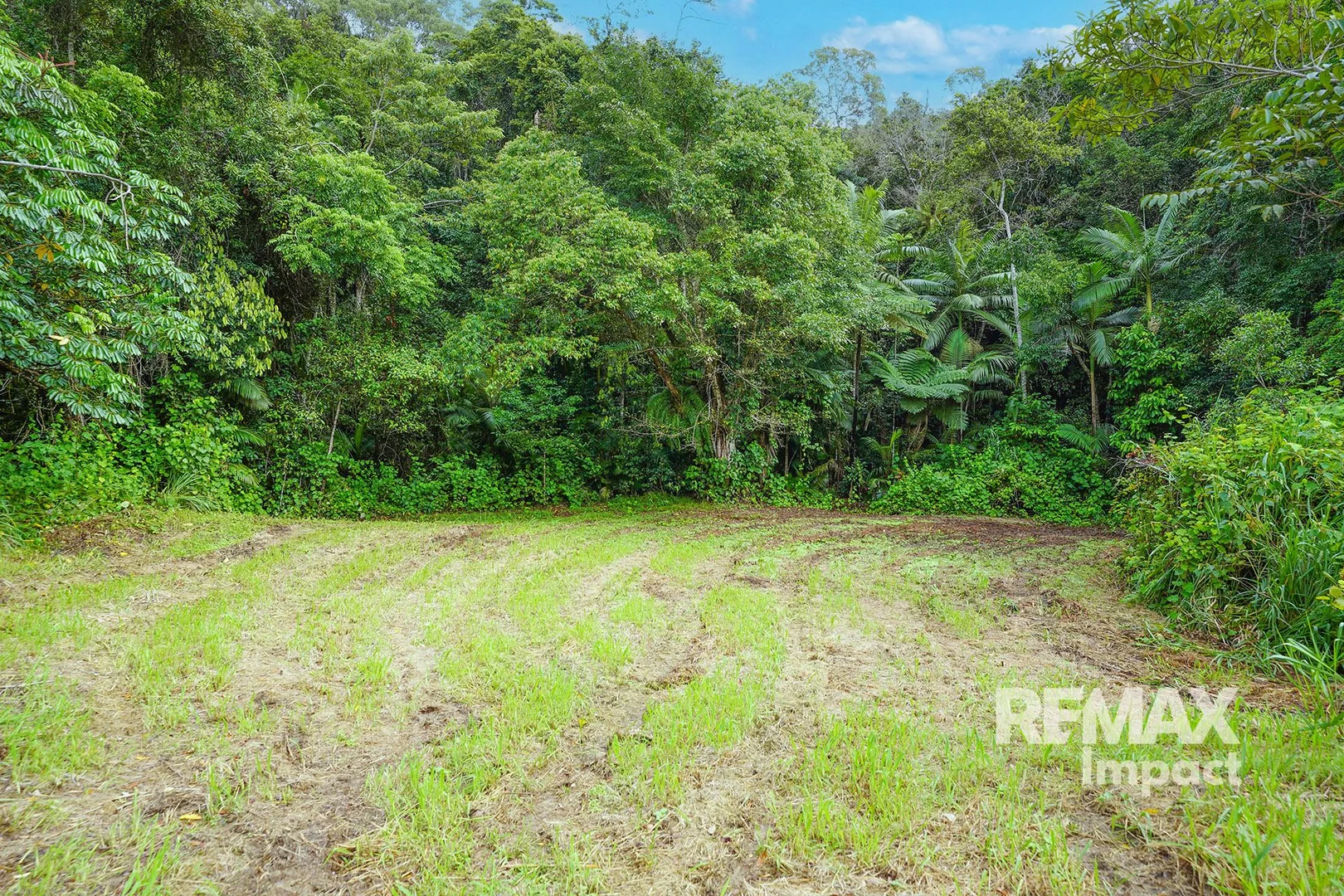 Additional image 21 of 1616 Mossman-Mount Molloy Road, Julatten QLD 4871