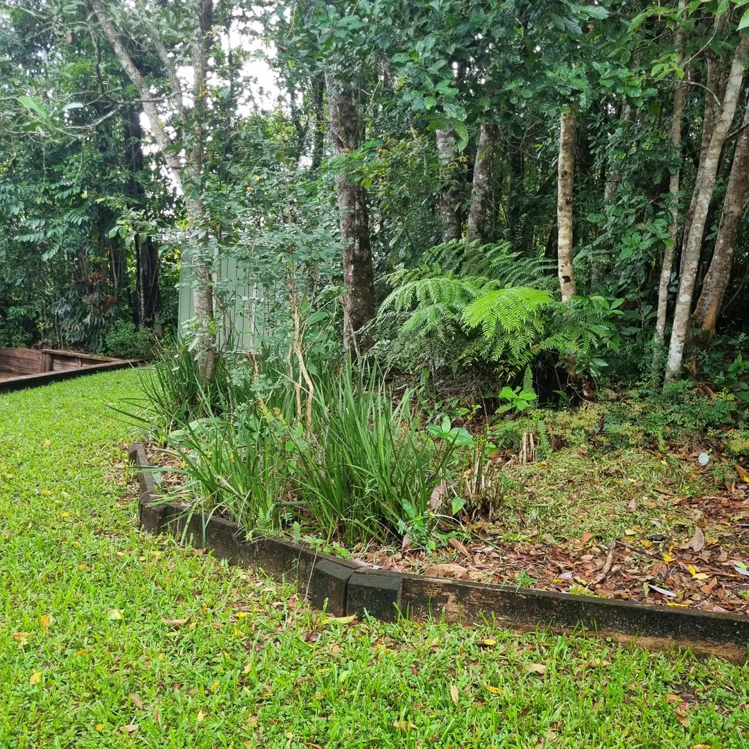 Additional image 27 of 18 Mount Spec Road, Paluma QLD 4816