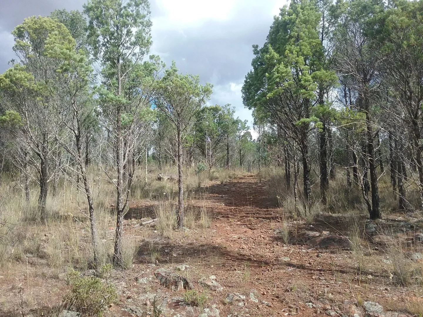 Additional image 3 of 141 Cenn Cruaich Road, Coonabarabran NSW 2357