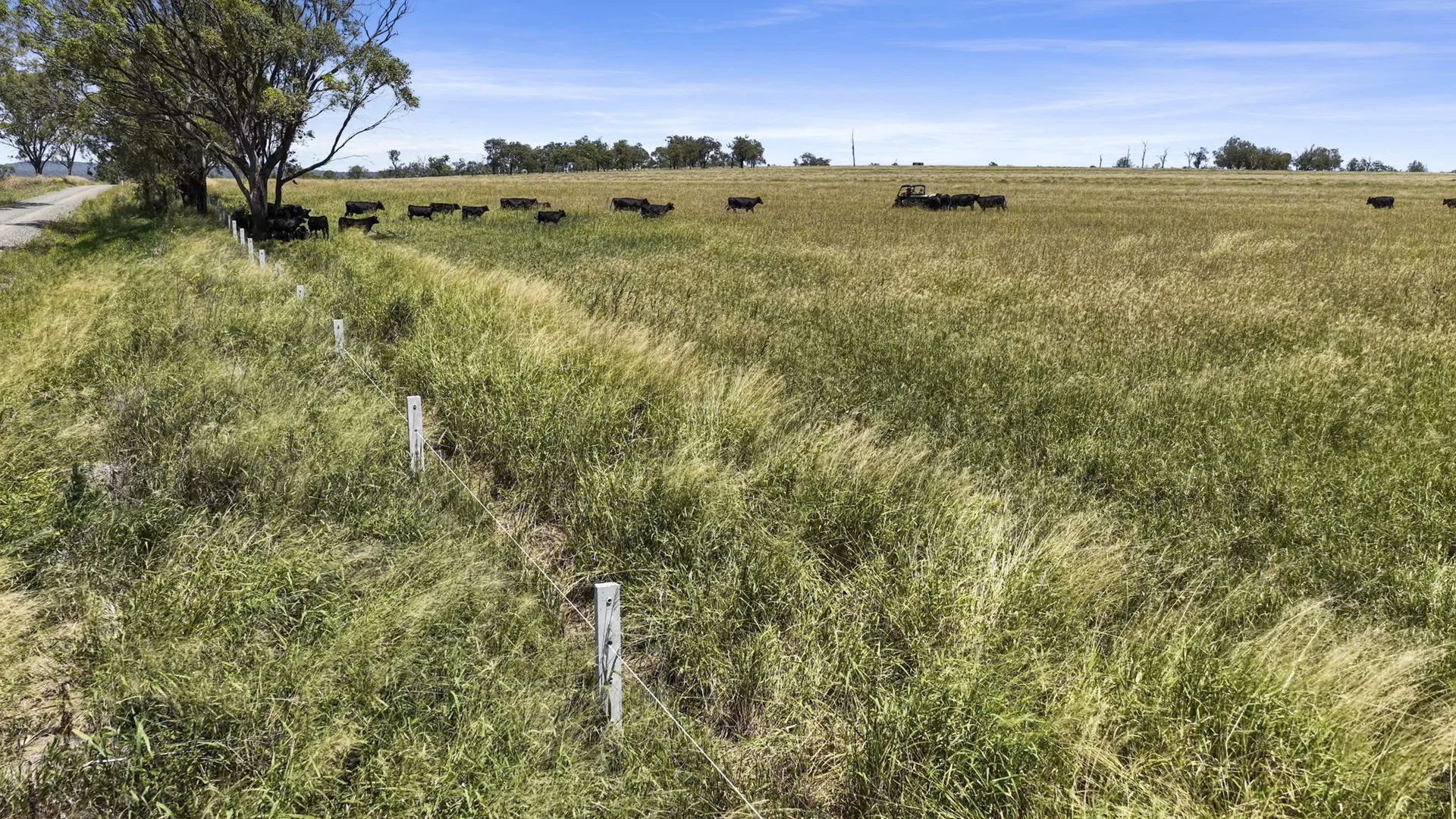 Additional image 6 of 167 Stark Road, Talgai QLD 4362