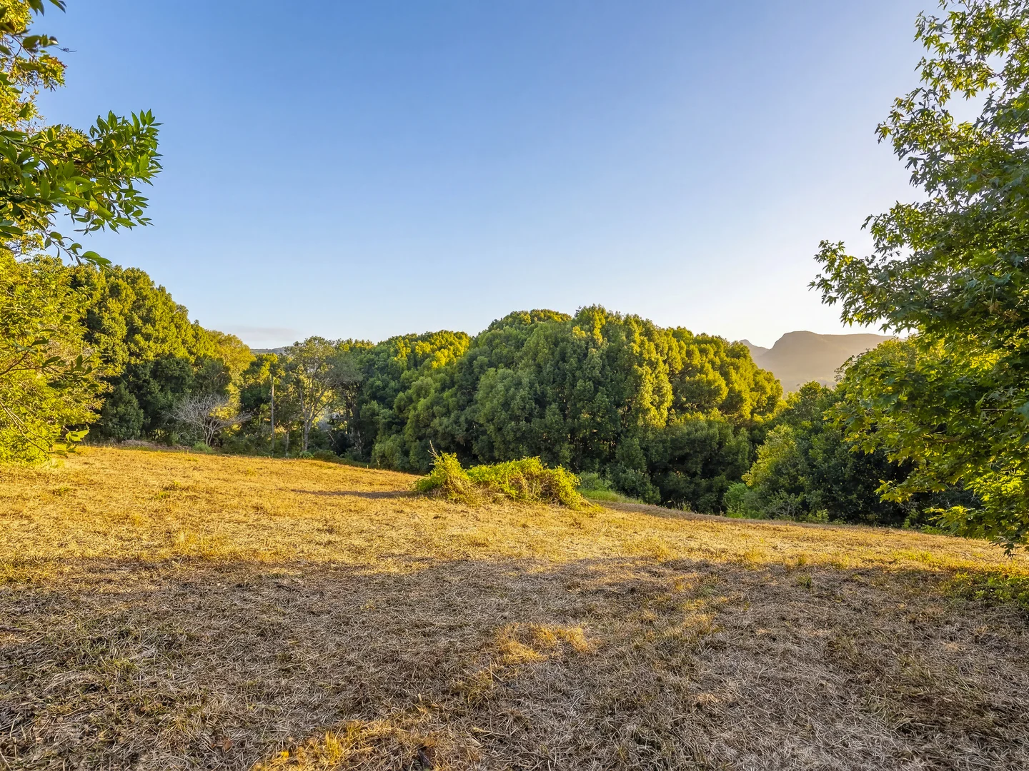 Additional image 6 of 32 Brocks Road, Currumbin Valley QLD 4223