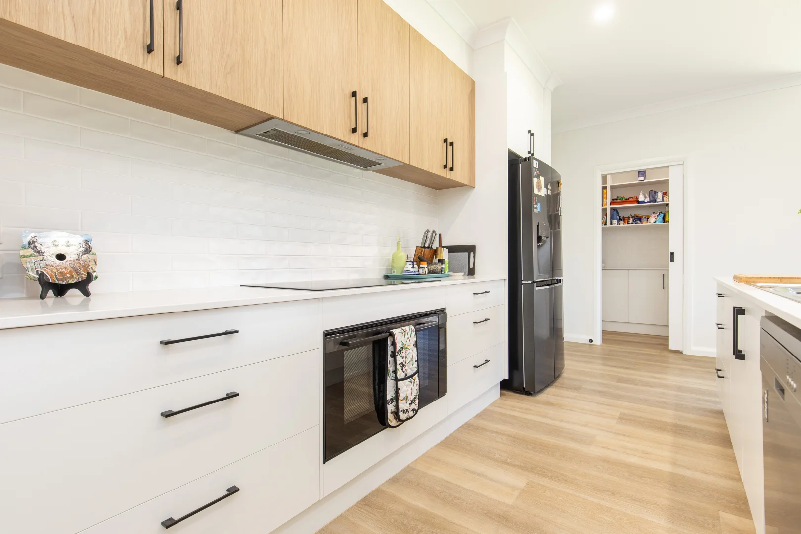 19 Cirillo Drive, Mildura VIC 3500 photo 2