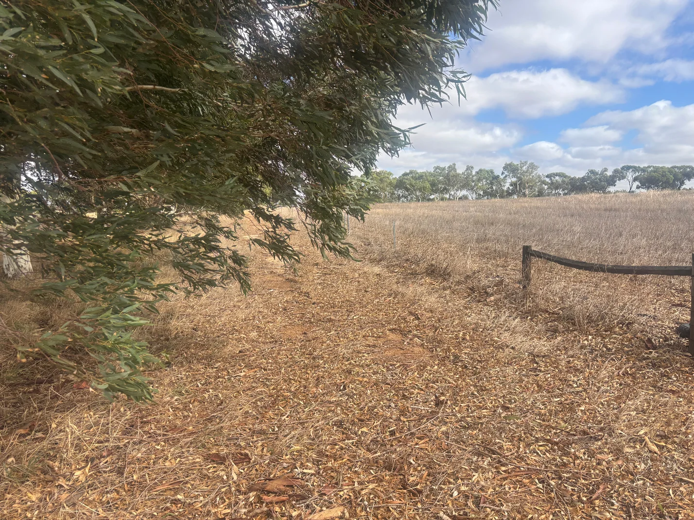 Lot 9678 Geraldton Mount Magnet Road, Wicherina WA 6532
