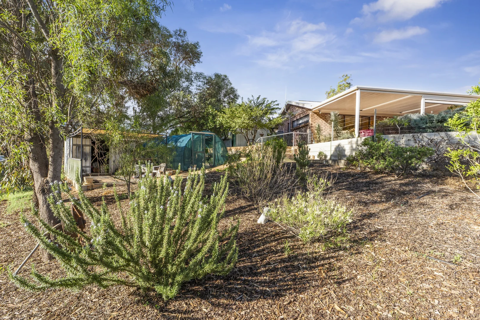 Additional image 18 of 47 Murtho Road, Paringa SA 5340