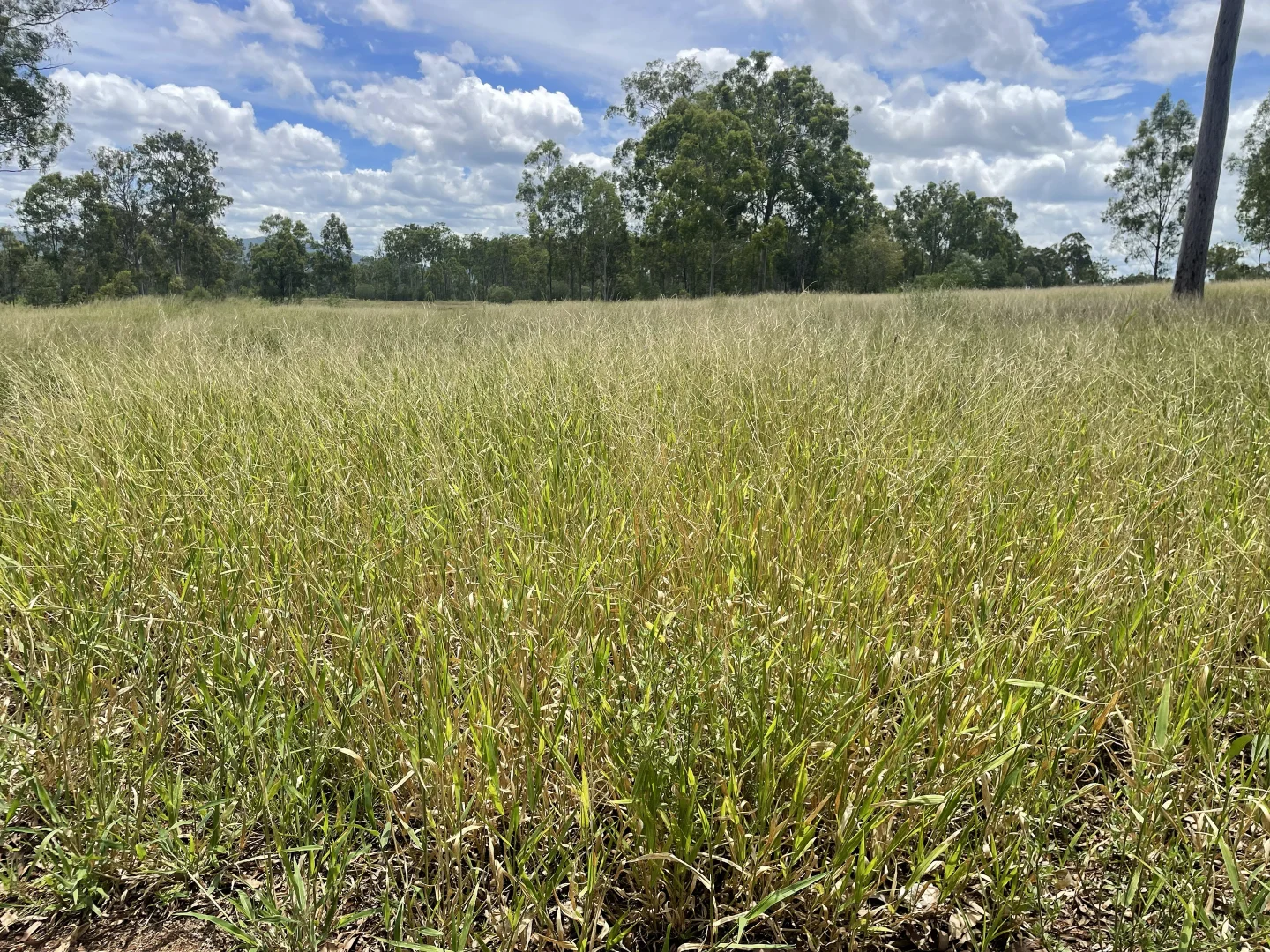 Additional image 3 of 99 Valley Run Road, Boyne Valley QLD 4680