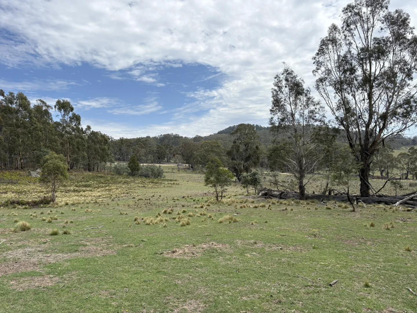 Additional image 3 of Lot 31/31, 175 Tumbledown Road, Peak View NSW 2630