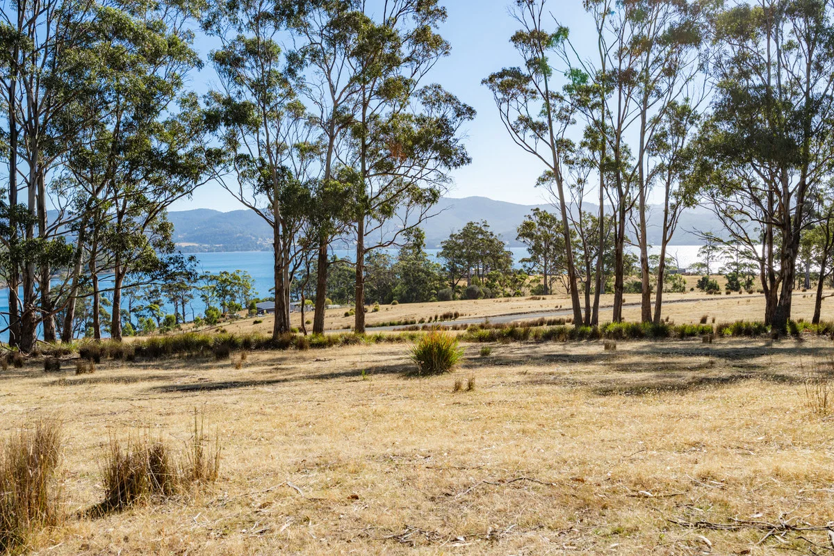 Additional image 15 of 4 D'Entrecasteaux Drive, North Bruny TAS 7150