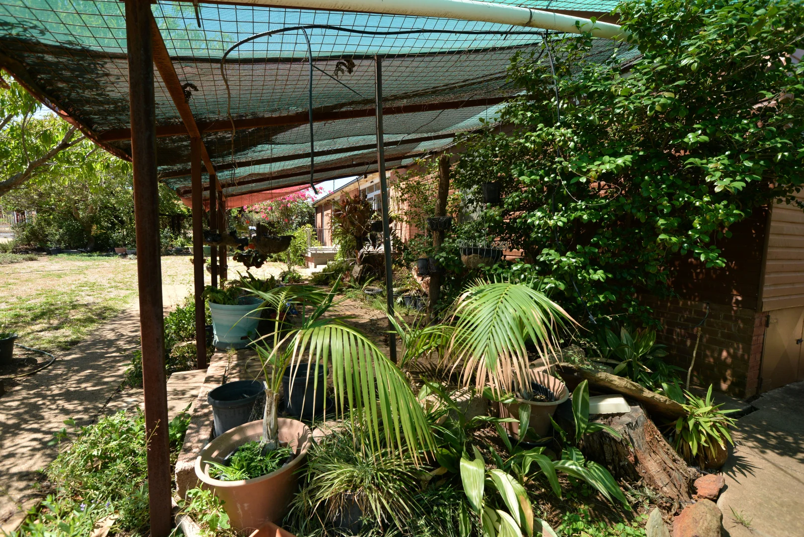 Additional image 18 of 72 Euchie Street, Peak Hill NSW 2869