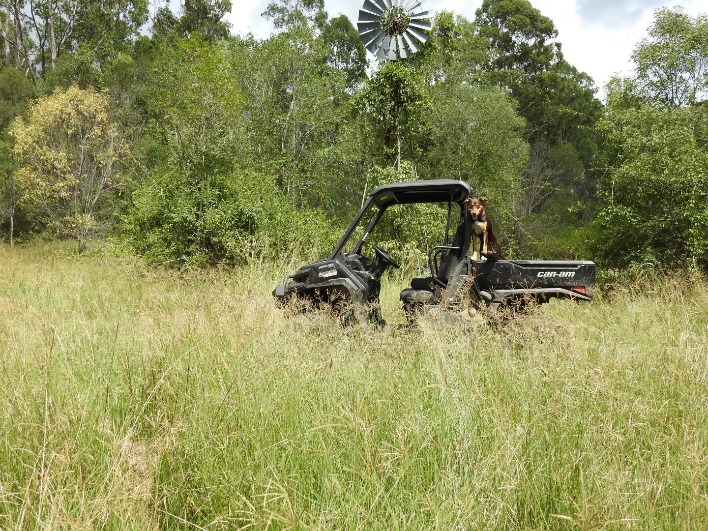 Additional image 20 of Lot 119 Ellangowan Myrtle Creek Road, Ellangowan NSW 2470