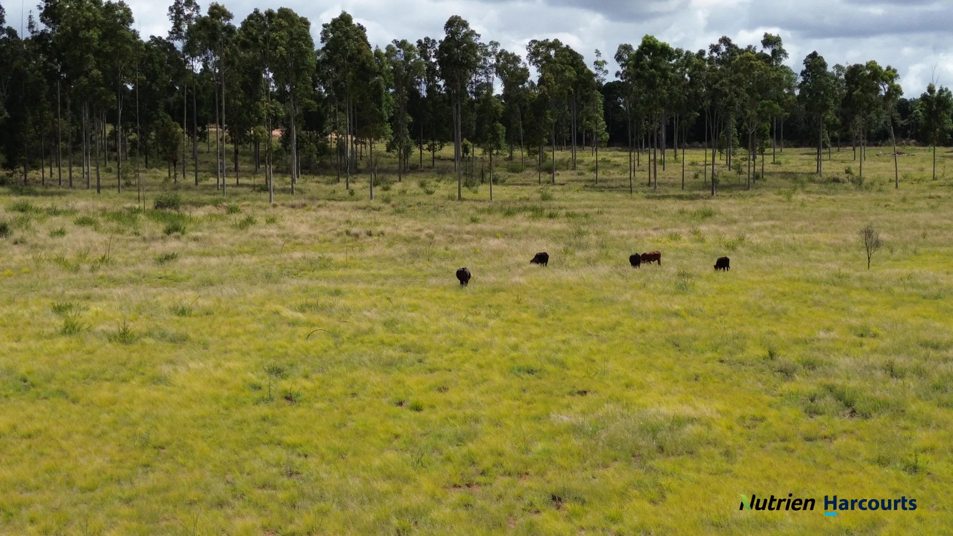 Additional image 3 of 225 Beils Road, Kingaroy QLD 4610
